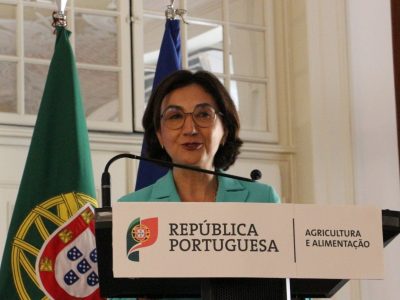 Maria do Céu Antunes